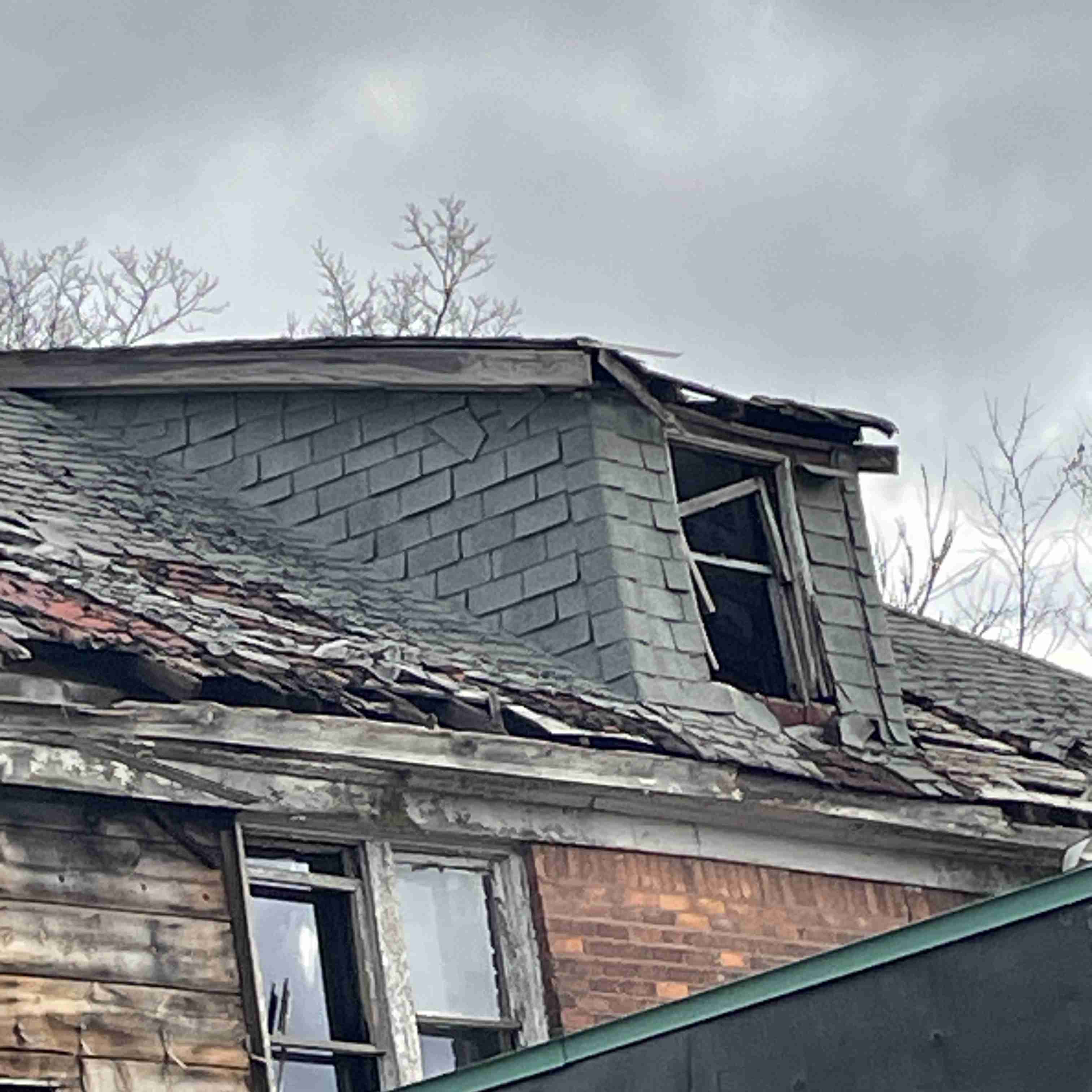 4039 Tuxedo (12).jpg